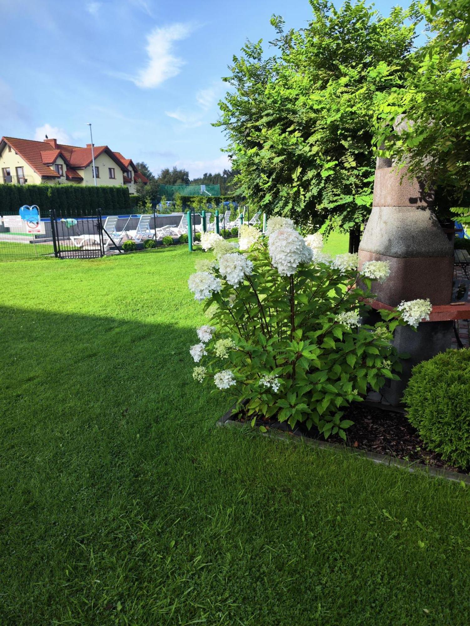 Michalek W Rowach Bed & Breakfast Rowy  Dış mekan fotoğraf