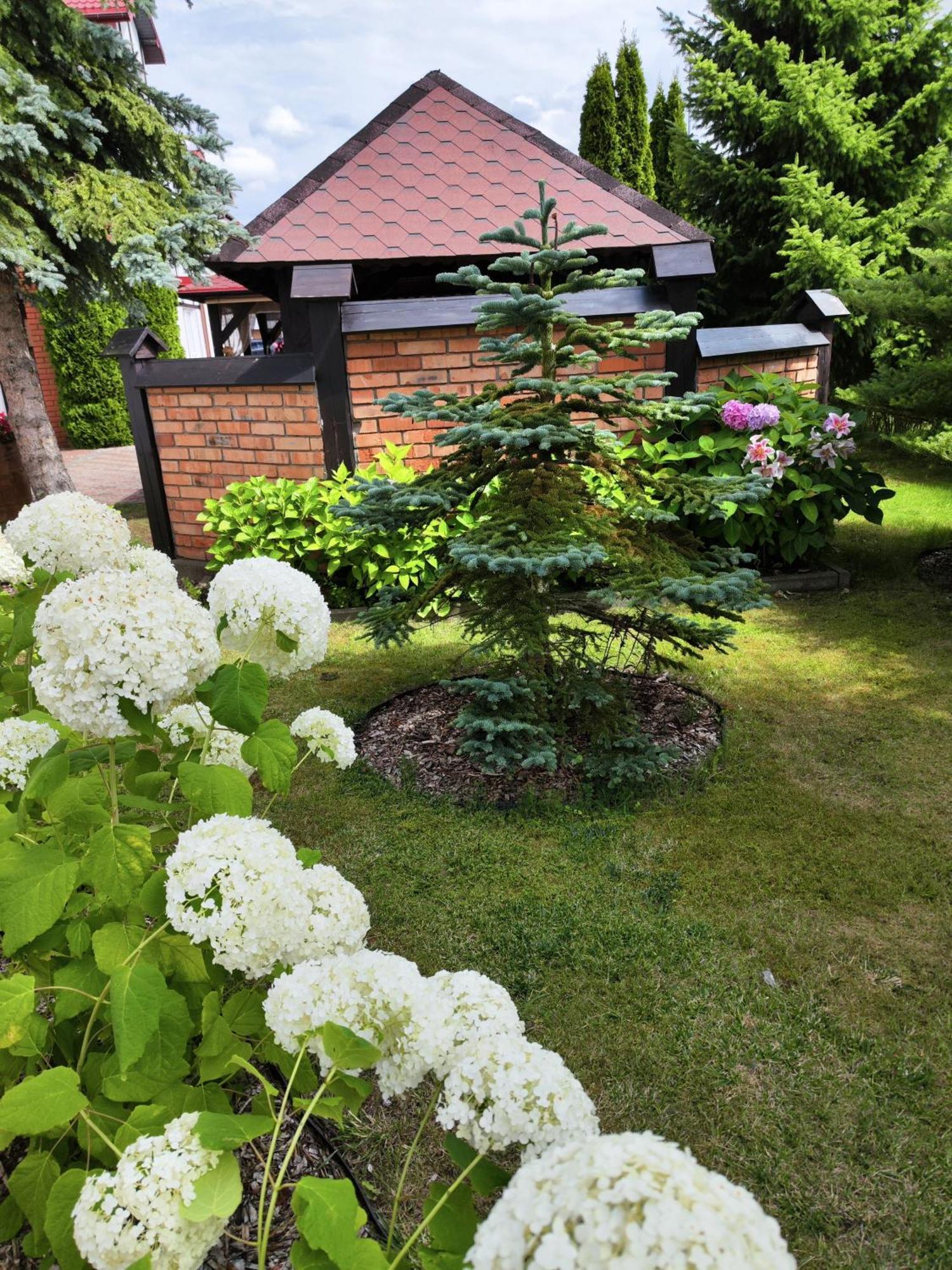 Michalek W Rowach Bed & Breakfast Rowy  Dış mekan fotoğraf