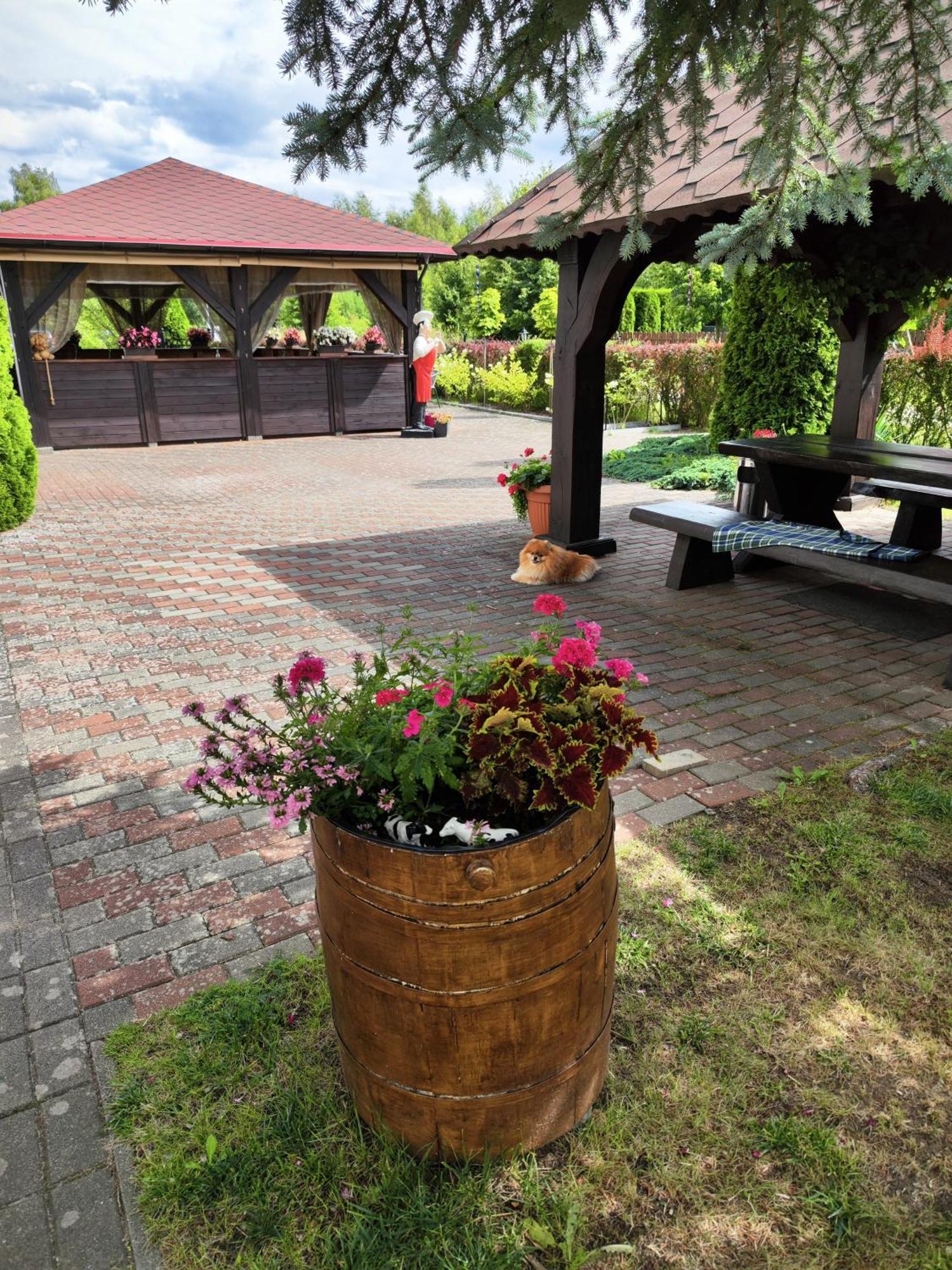 Michalek W Rowach Bed & Breakfast Rowy  Dış mekan fotoğraf