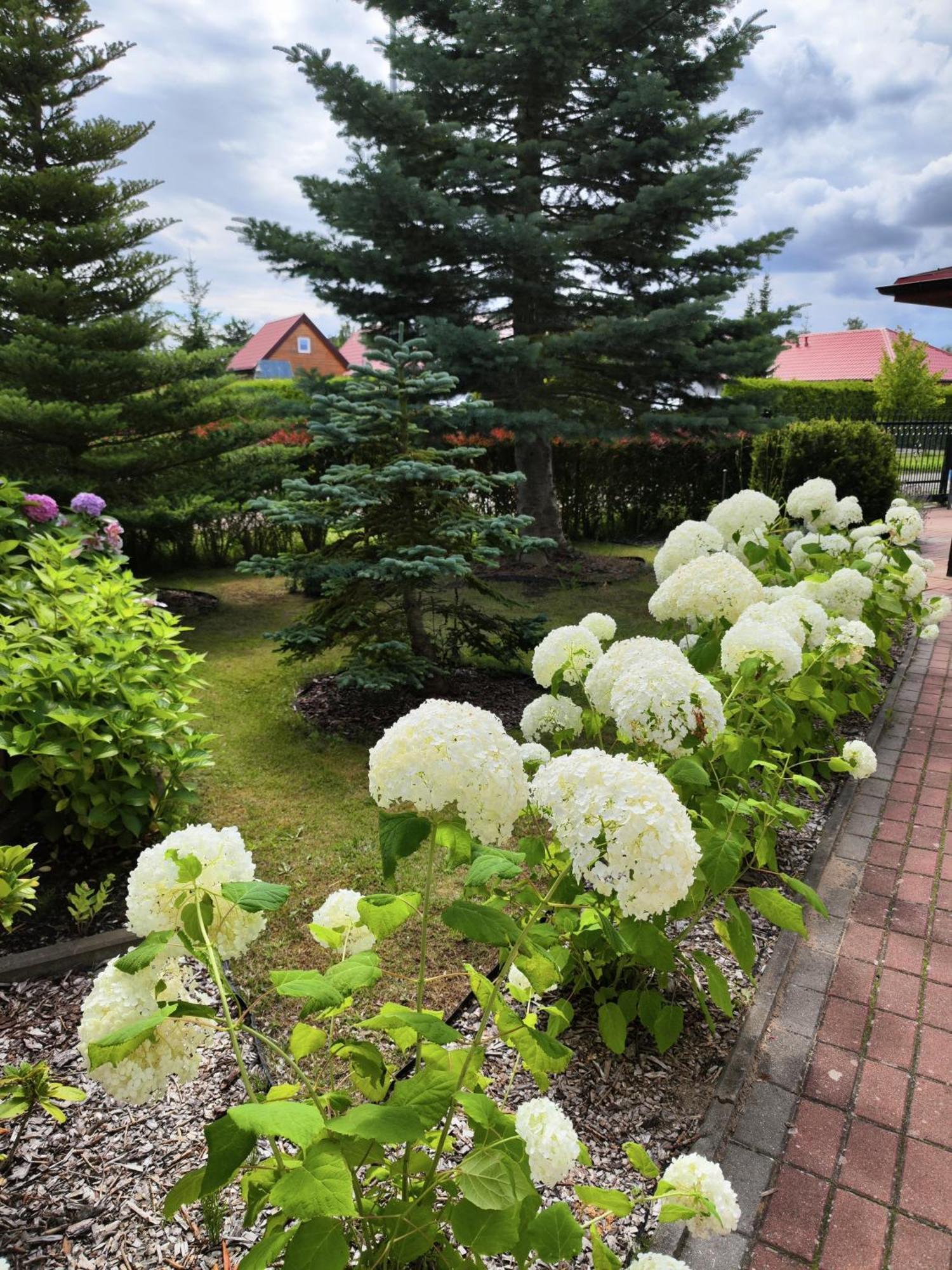 Michalek W Rowach Bed & Breakfast Rowy  Dış mekan fotoğraf